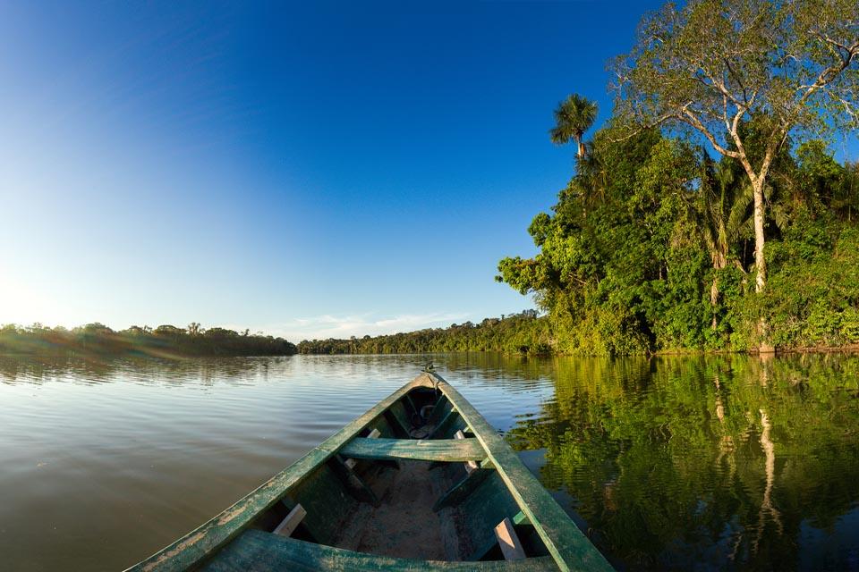 About trip on the Amazon Forest in Tambopata | TreXperience