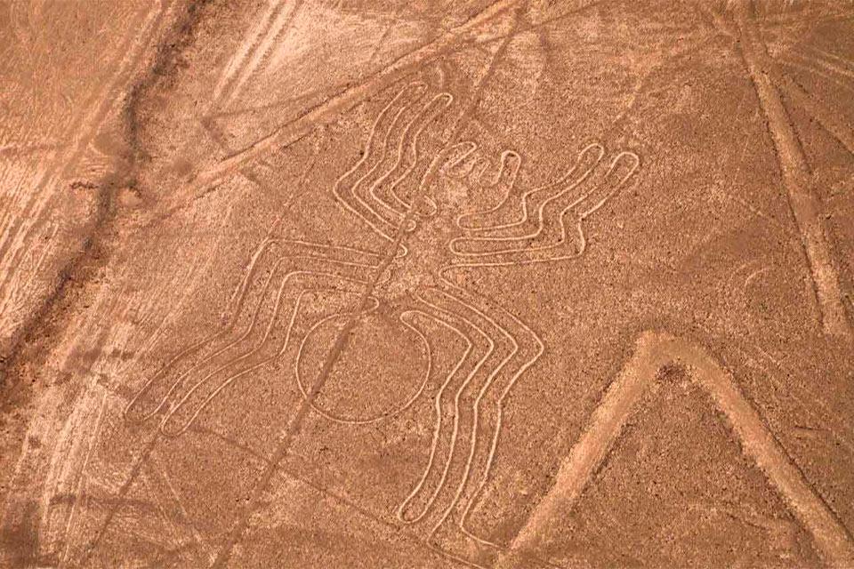 Lineas de Nazca en el tour en Peru Camino Inca corto 12 dias | TreXperience