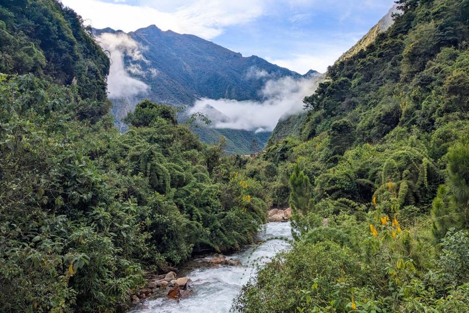 Río fluyendo entre vegetación densa en un valle selvatico con nubes bajas | TreXperience
