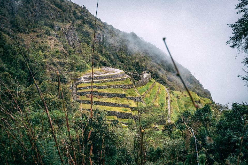 Vista panorámica de Phuyupatamarca en el Camino Inca rodeado por bosque andino y montañas | TreXperience
