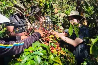 salkantay trek 5 days machu picchu coffee | TreXperience