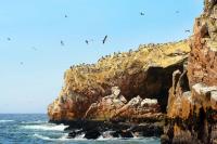 View of the Ballestas Islands teeming with life, where seabirds and marine animals coexist in motion; part of the Peru 20-day itinerary tour.