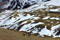 ausangate-trek-machu-picchu-trexperience