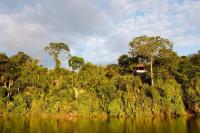 Tambopata Machu Picchu and Amazon Rainforest