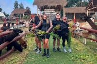 sacred valley tour manos comunidad | TreXperience