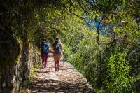 Hikers walking along a stone path through the cloud forest (2-day Inca Trail camping) | TreXperience