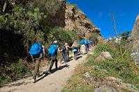 Grupo de senderistas caminando por un sendero de montaña durante el Camino Inca (5 días, versión extendida) | TreXperience
