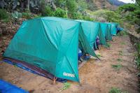 Fila de carpas verdes instaladas junto a un sendero de tierra, con vegetación y laderas de montaña alrededor, Trek Lares y Camino Inca Corto 5 días | TreXperience