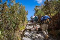 Senderistas subiendo por escalinatas de piedra en el Camino Inca (Tour privado del Camino Inca 4 días) | TreXperience