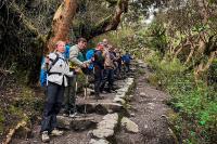 Group of hikers lined up on stone steps in the cloud forest (Ultimate Inca Trail Tour, 5 days) | TreXperience