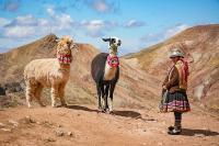 Pastora andina junto a su llama y alpaca en Palcoyo | TreXperience