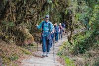 Hikers on the Inca Trail to Machu Picchu | TreXperience