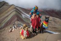 Pareja en la Montaña de siete colores con dos llamas a sus costados | TreXperience