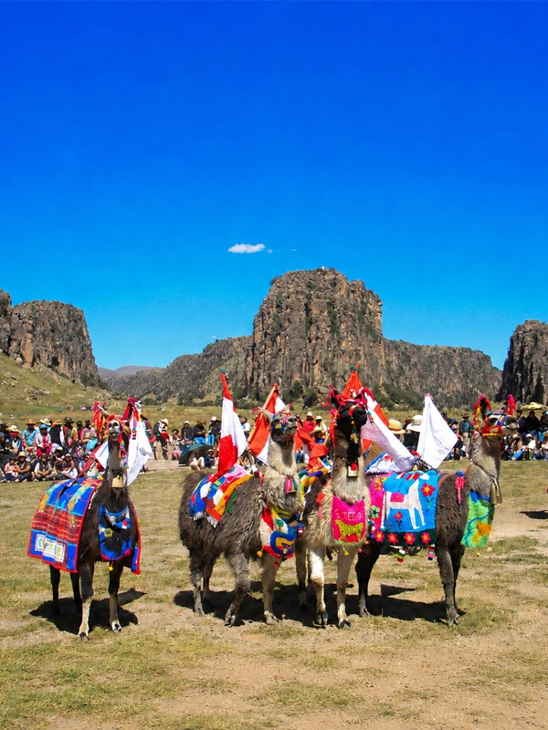 Festival de Taqrachullo Festival Folclórico, Cultural y Turístico Taqrachullo | TreXperience