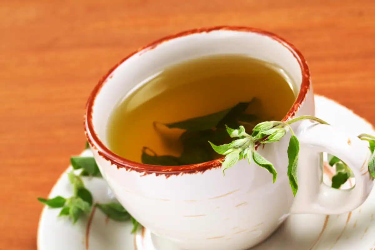 Peruvian Muña Tea | TreXperience Peruvian Muña Tea | TreXperience