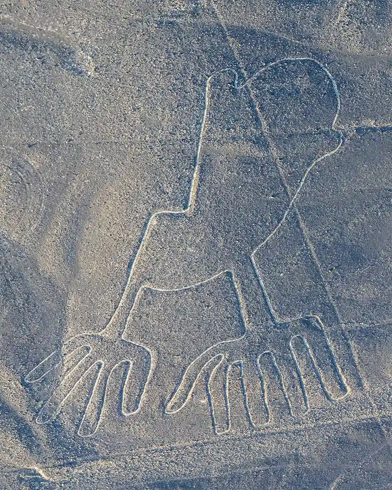 The Hands - Nazca Lines