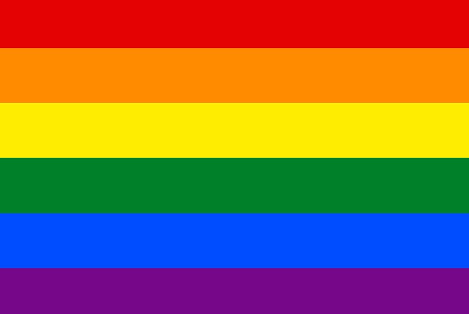 The LGTBIQ+ community flag 