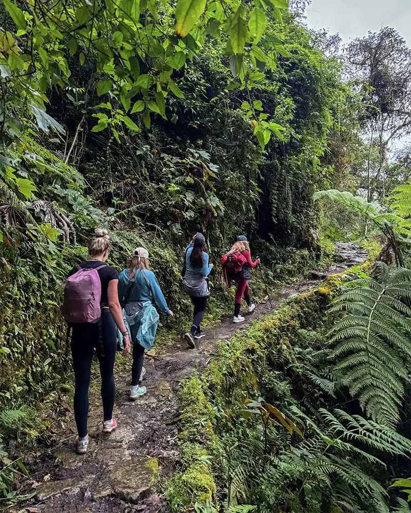 Senderismo en la temporada de lluvias | TreXperience