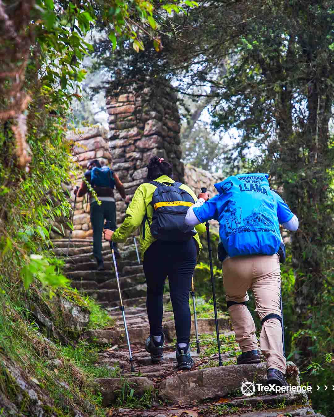 Camino Inca | TreXperience