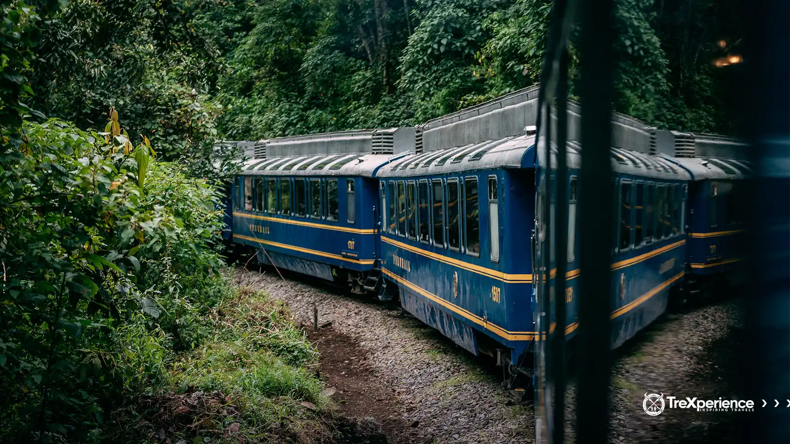 Blue PeruRail train passing through lush greenery on its way to Machu Picchu | TreXperience