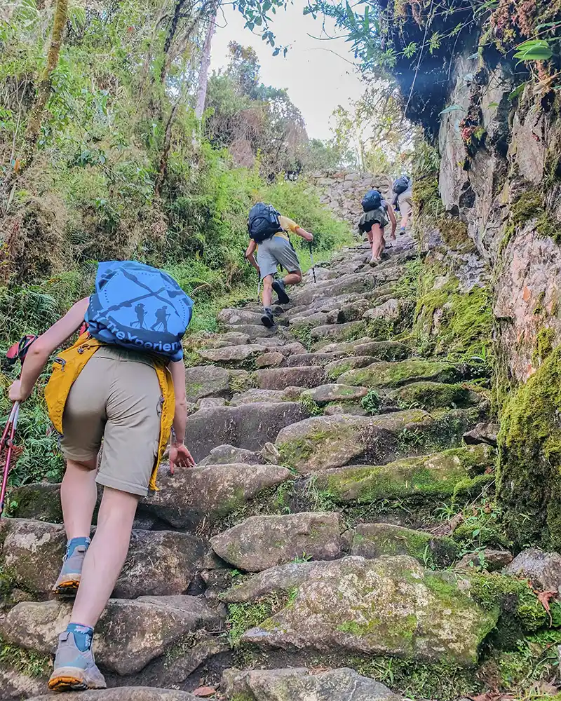 Travel insurance in Peru for the Inca Trail | TreXperience