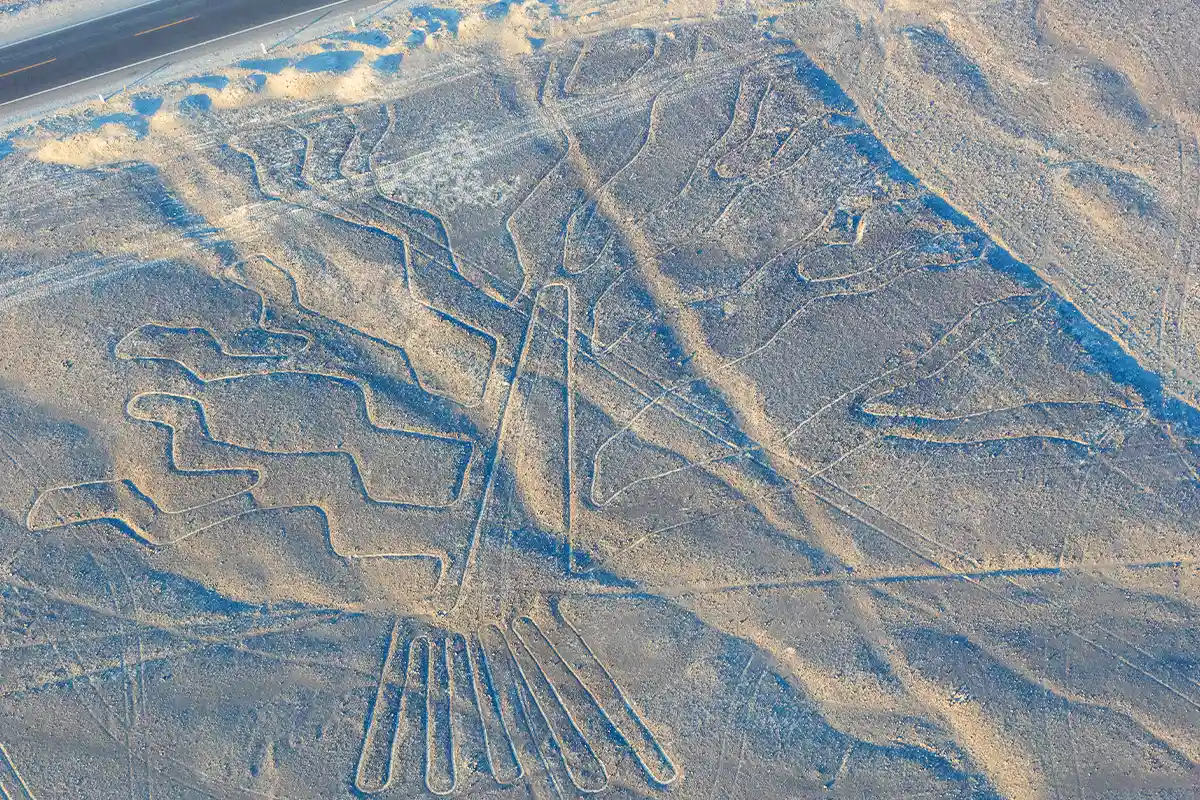 The Tree - Nazca Lines