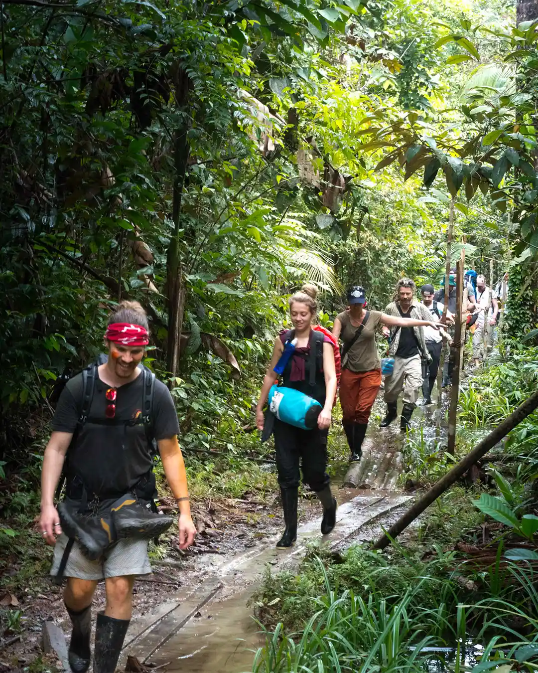Walking through the Peruvian Amazon | TreXperience Walking through the Peruvian Amazon | TreXperience