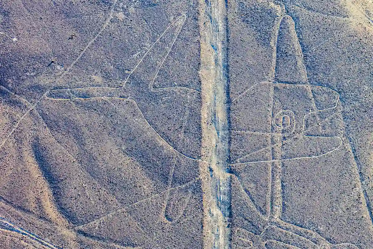 The Whale - Nazca Lines