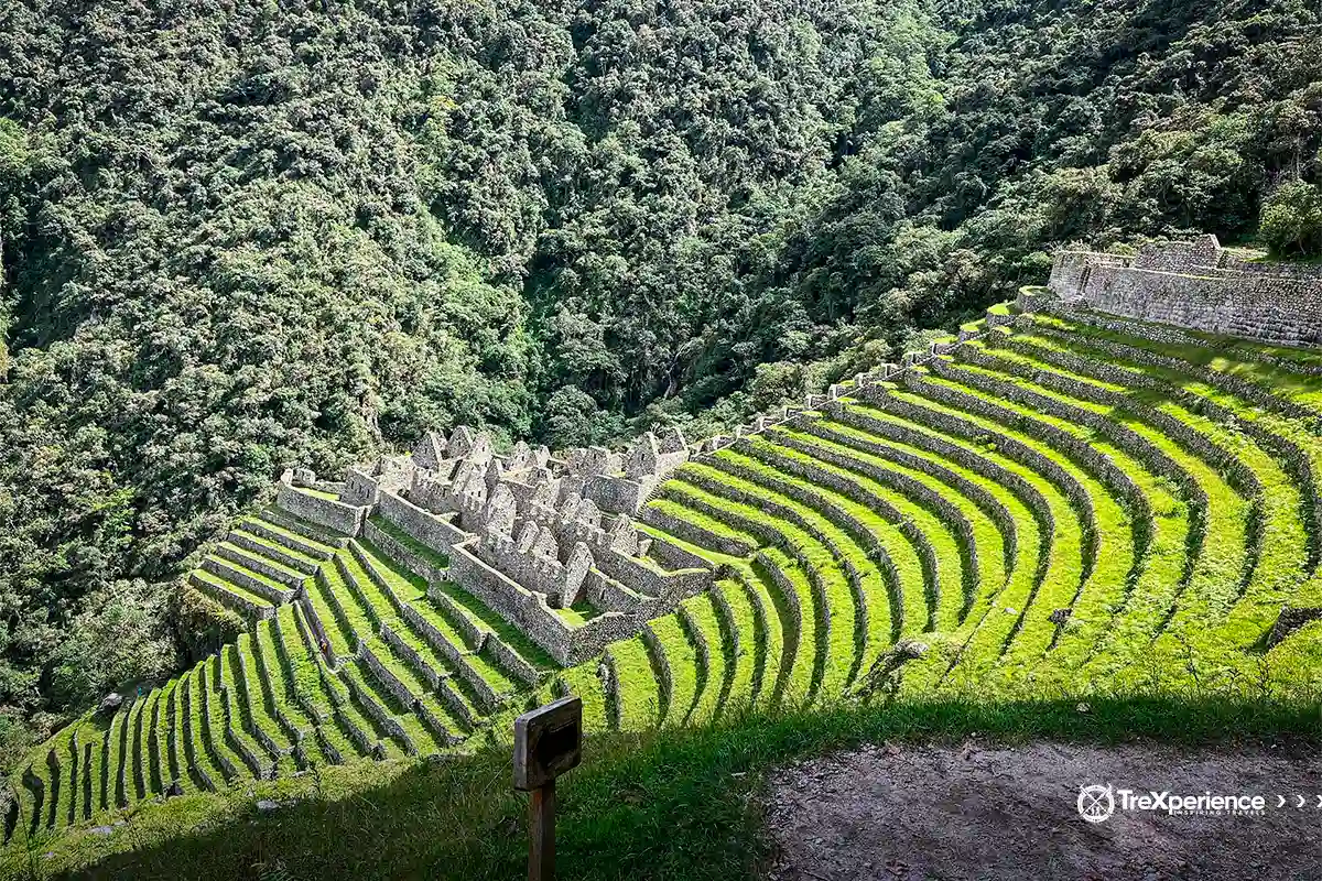 Wiñay Wayna Inca site | TreXperience Wiñay Wayna Inca site | TreXperience