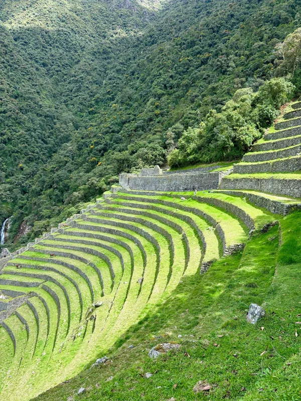 Wiñay Wayna archeological site part of the Inca Trail trip