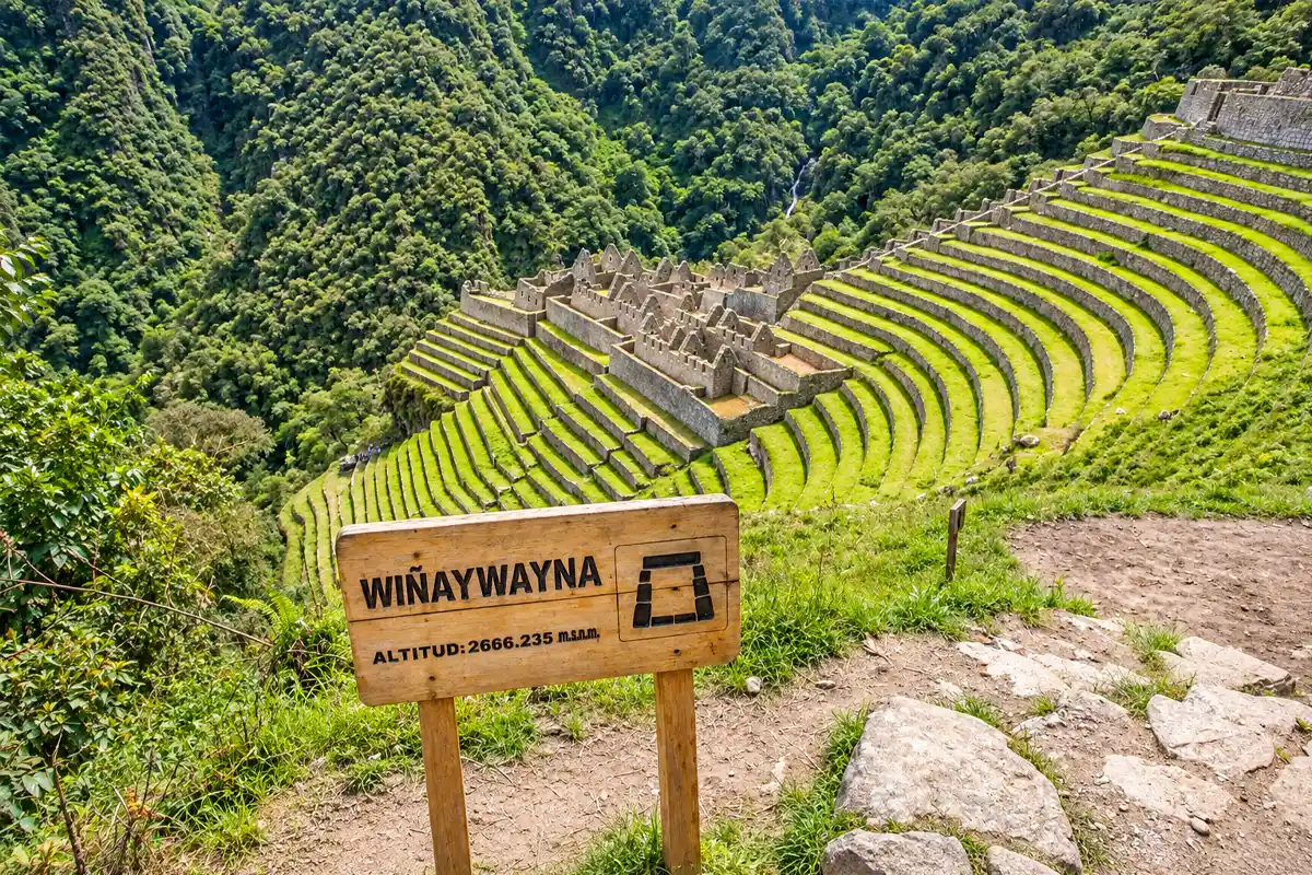 Sitio Inca de Winay Wayna Foto de la altura de Winay Wayna | TreXperience