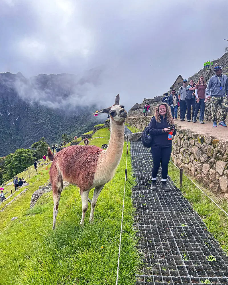 Mujer y llama en Machu Picchu en septiembre | TreXperience