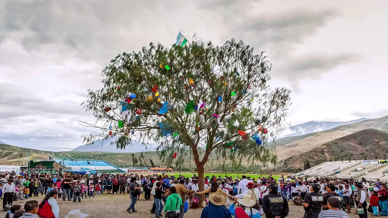 Yunza tree - 4 Best Destinations to Visit During Carnivals in Peru | TreXperience