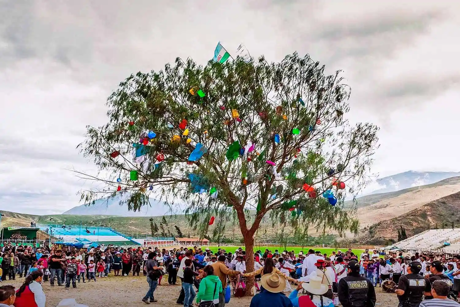 Yunza in Cusco | TreXperience Yunza in Cusco | TreXperience