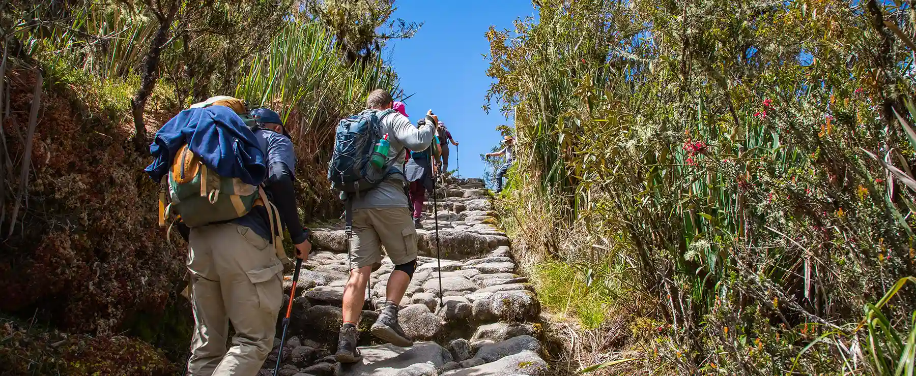 Traveler Checks The Inca Trail Permits 2025 | Inca Trail Tour TreXperience Traveler Checks The Inca Trail Permits 2025 | Inca Trail Tour TreXperience